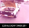 1980 d50