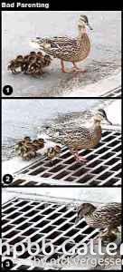 Some funny stuff I found on the web.......